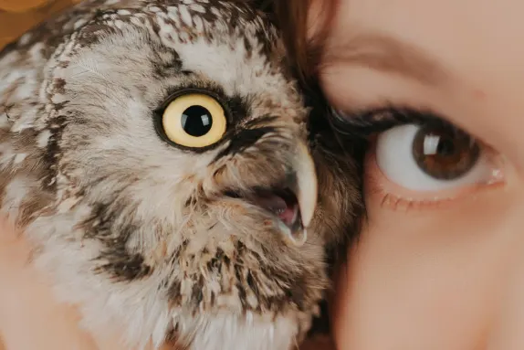 Casino Loco Win Assistance